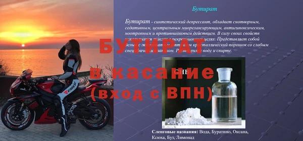 индика Алзамай