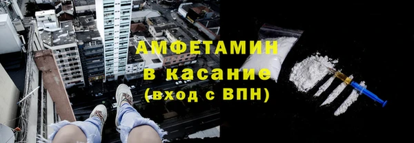 индика Алзамай