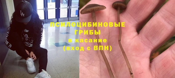индика Алзамай