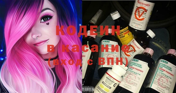 индика Алзамай