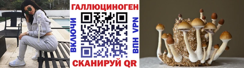 ОМГ ОМГ сайт  Махачкала  Псилоцибиновые грибы мицелий  закладка 