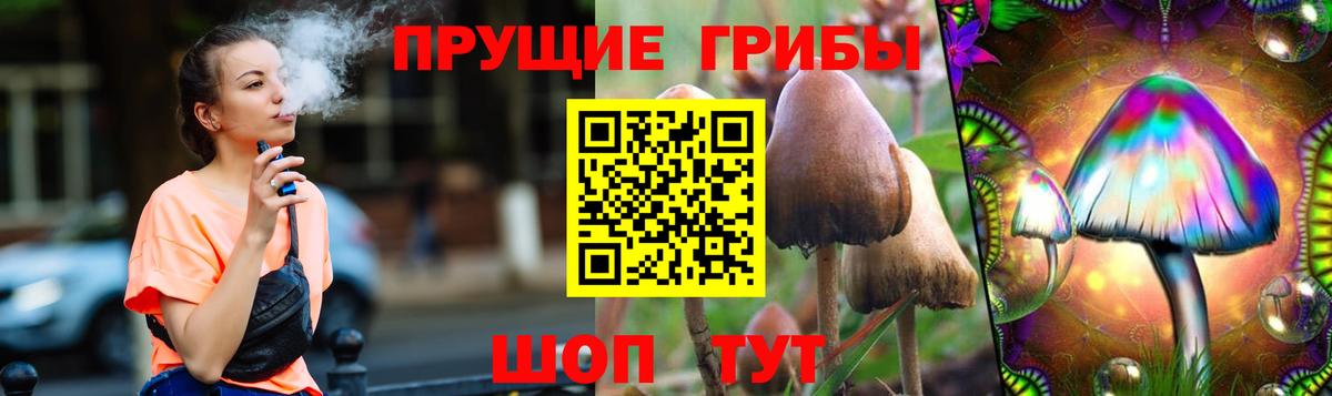 Галлюциногенные грибы GOLDEN TEACHER Махачкала