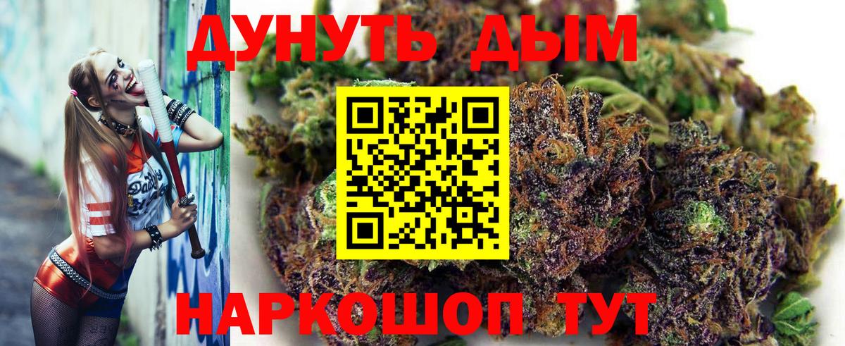 Каннабис семена  Вход с VPN  МАРИХУАНА конопля  Конопля планчик  Махачкала 